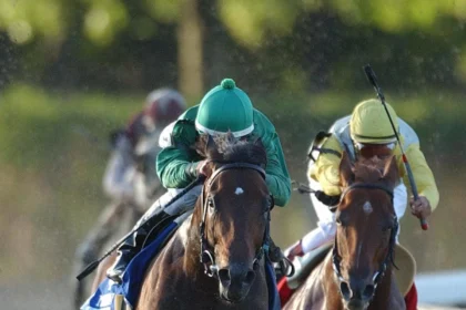 Mineshaft's Jockey Club Gold Cup Win Cemented Championship Season