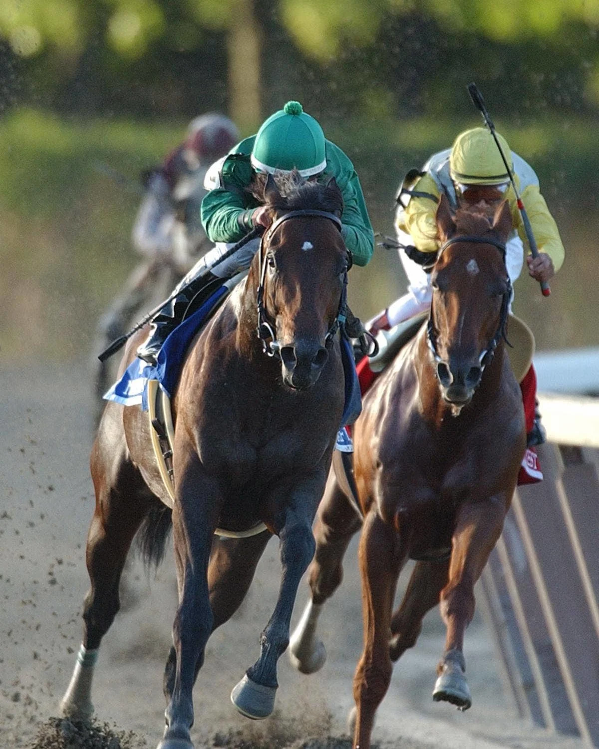 Mineshaft's Jockey Club Gold Cup Win Cemented Championship Season