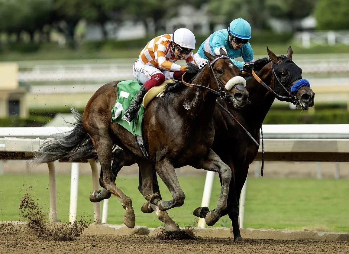 Mr. A. P. Returns to Dirt, Battles Elders in Goodwood Stakes