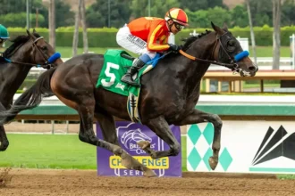 Nevada Beach Returns in Goodwood at Santa Anita Saturday