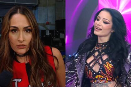 Nikki Bella Explains Why Her Feud with Paige Suddenly Got Personal