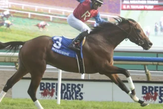 No Catching Fire and Wine Withdrawn from Breeders' Stakes