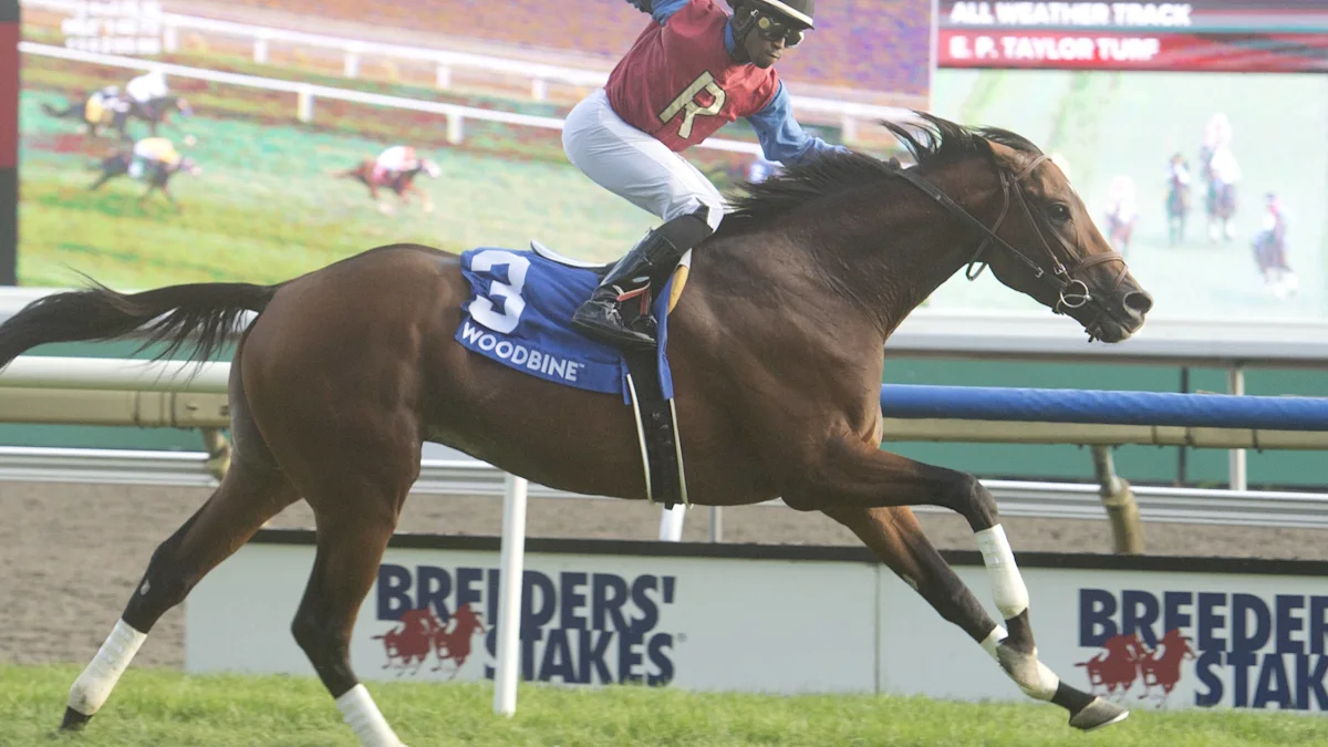 No Catching Fire and Wine Withdrawn from Breeders' Stakes