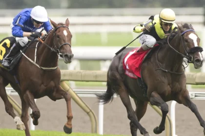 Notches Wins Grade 1 E.P. Taylor Stakes in North America