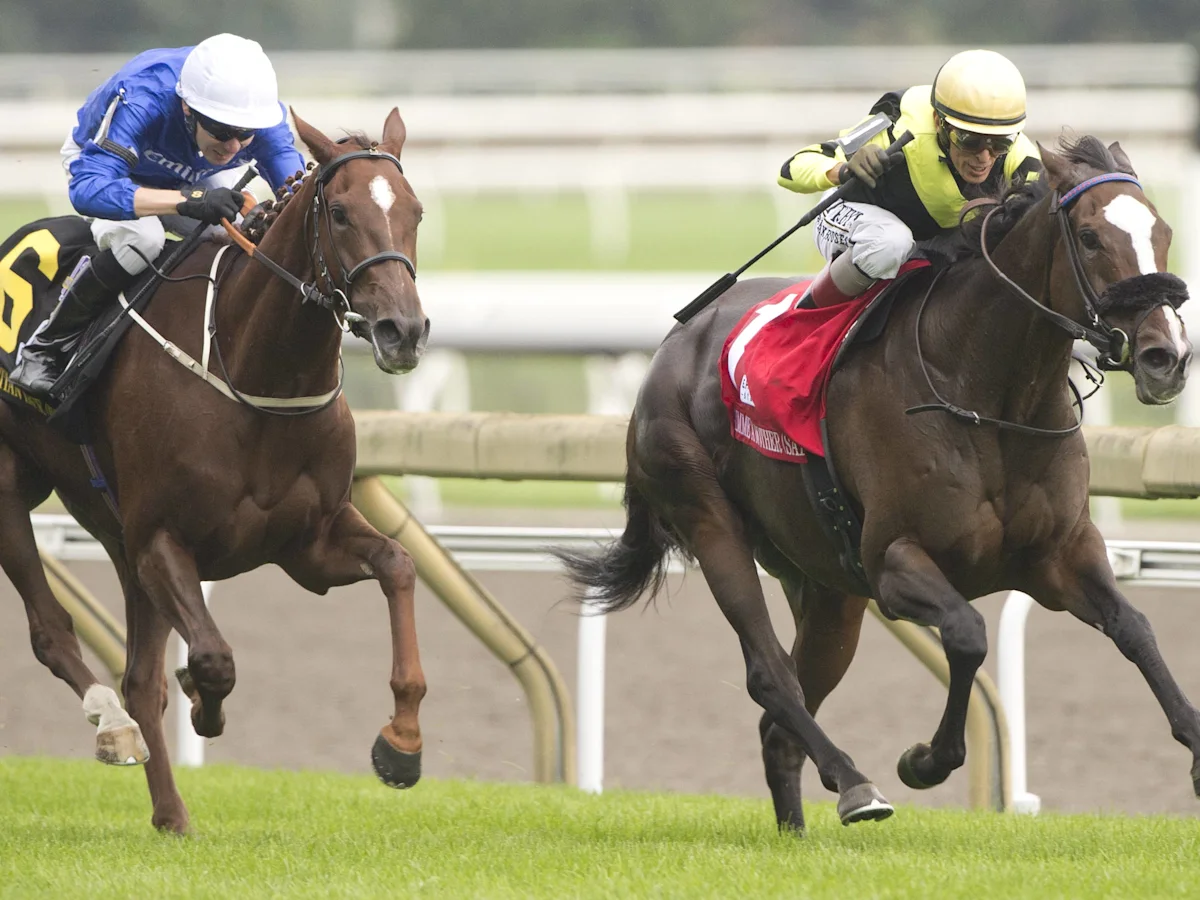 Notches Wins Grade 1 E.P. Taylor Stakes in North America