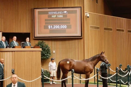 Nyquist Colt Tops Keeneland September Sixth Session at $1.2 Million