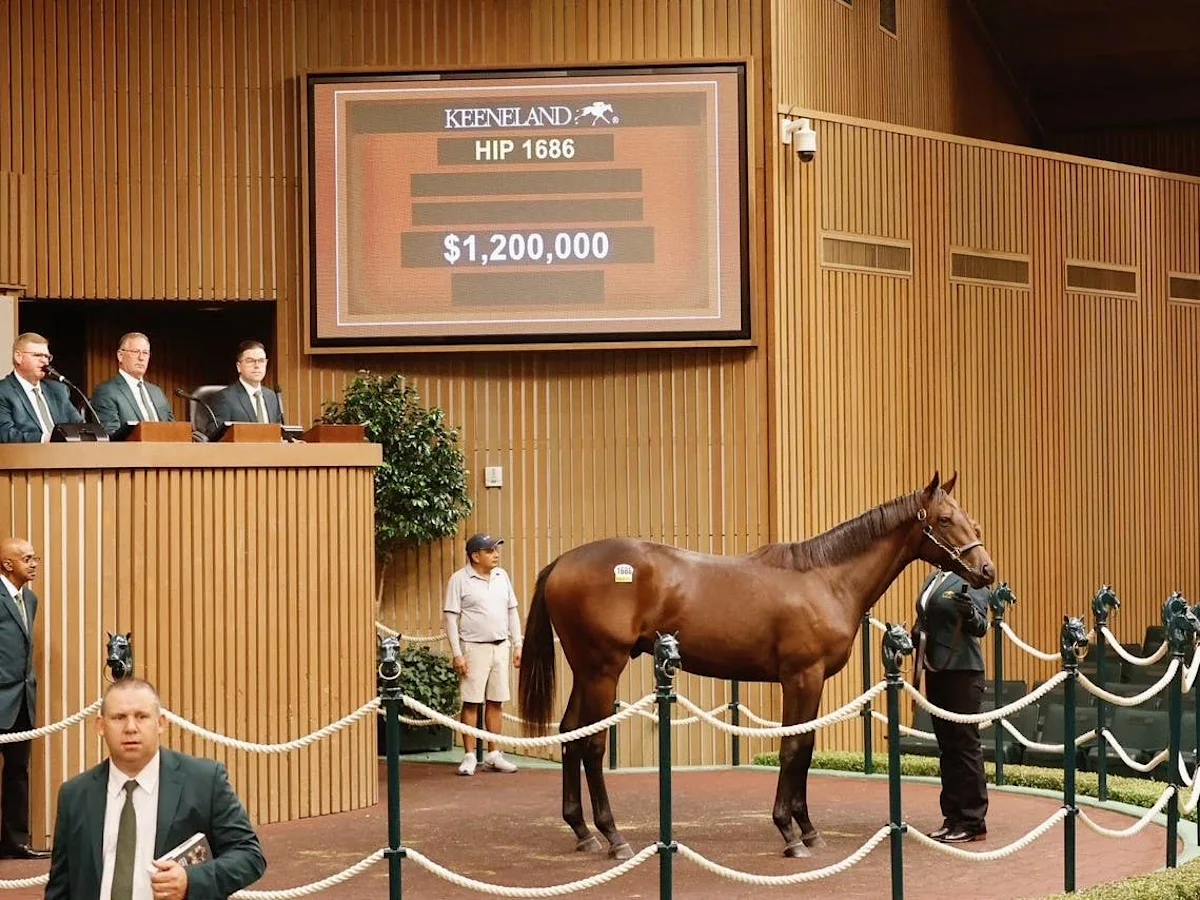 Nyquist Colt Tops Keeneland September Sixth Session at $1.2 Million