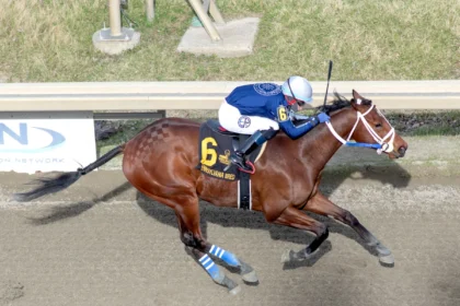 Pennsylvania Leaderboard Highlights Shane's Wonder and The Six-Figure Sophomore