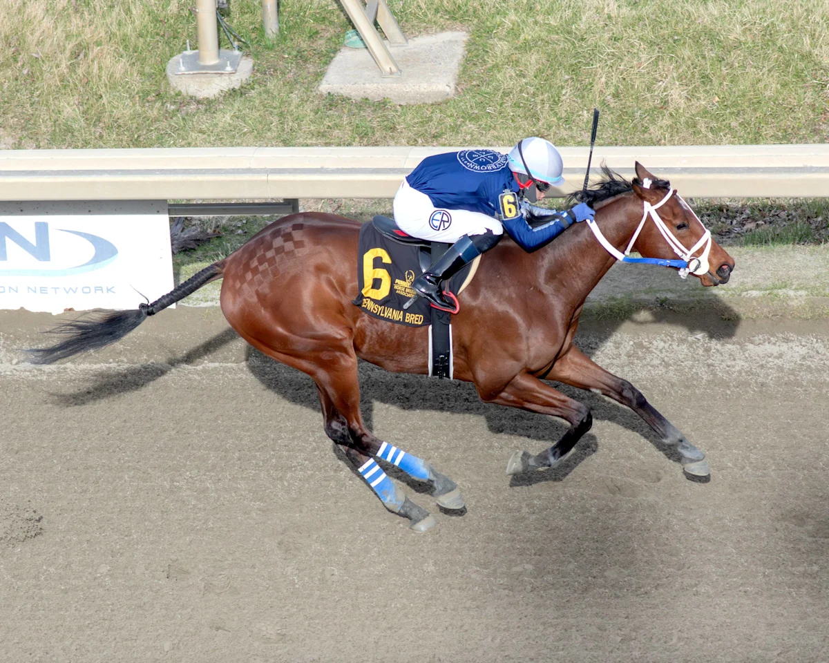 Pennsylvania Leaderboard Highlights Shane's Wonder and The Six-Figure Sophomore