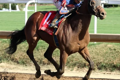 Plutarch Wins Stylish Bourbon Flight After Long Layoff