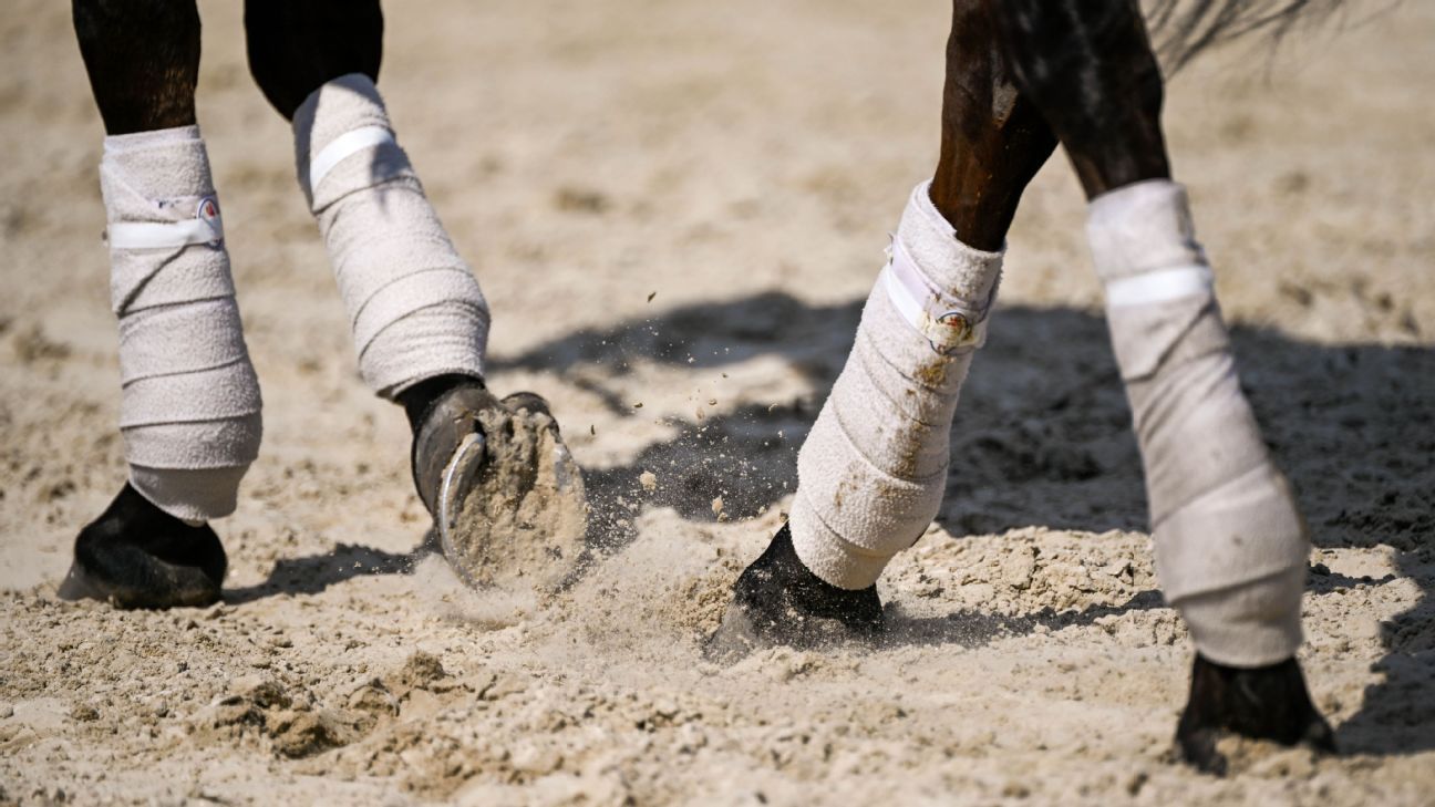 Professor and bettor charged with accessing private horse racing information