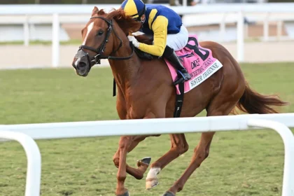 Queen Of Hawaii aims for first U.S. Stakes win in Winter Memories race
