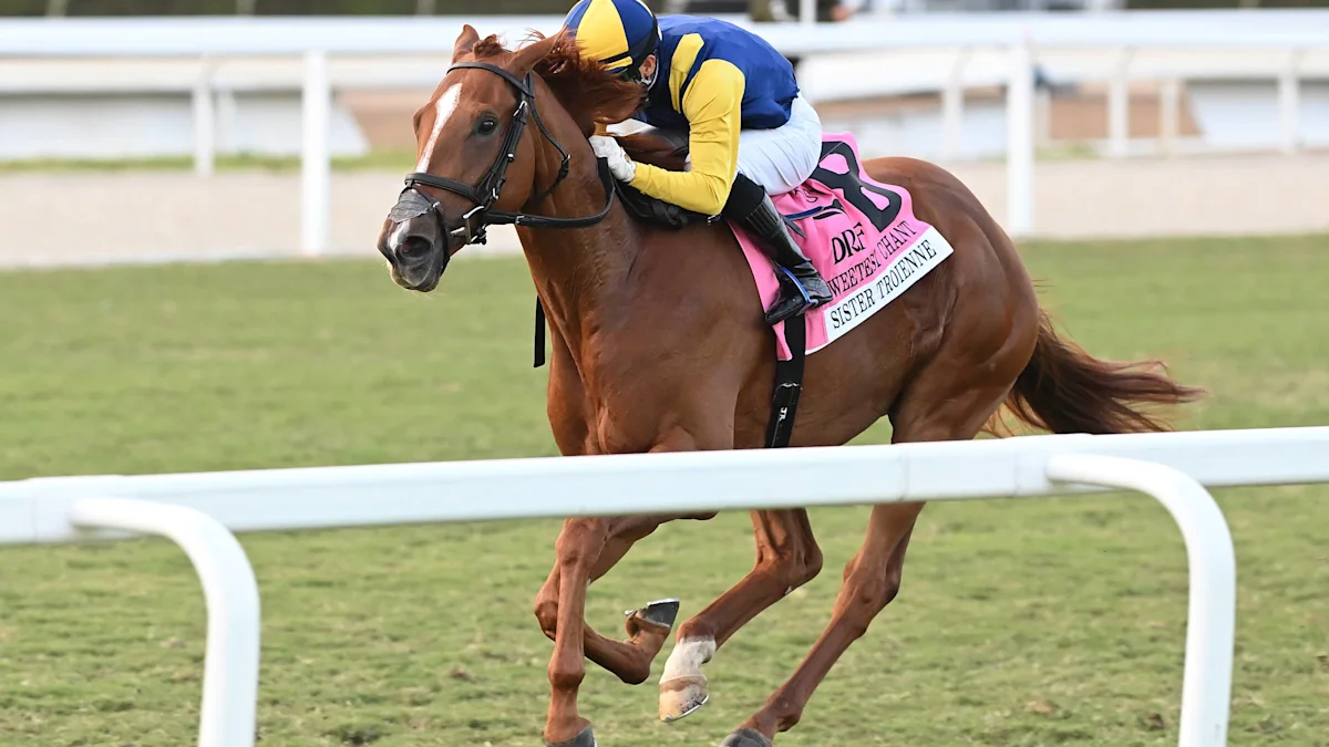 Queen Of Hawaii aims for first U.S. Stakes win in Winter Memories race