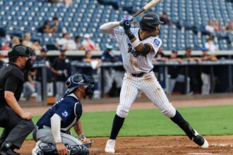 Recapping the New York Yankees' Low-Minor League Seasons