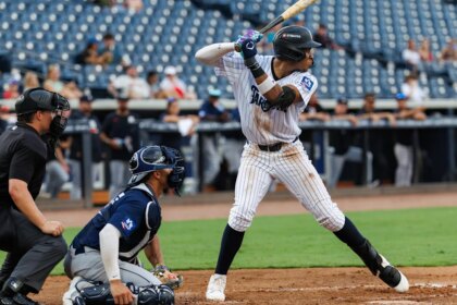 Recapping the New York Yankees' Low-Minor League Seasons
