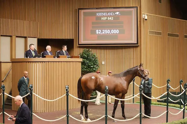 Record-Priced Nyquist Colt Tops Third Session of Keeneland September Sale