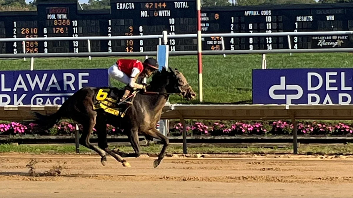 Regaled Aims for Back-to-Back Wins in Delaware Handicap