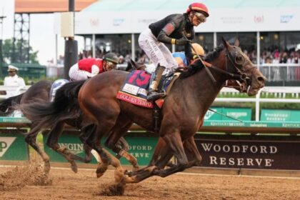 Renegade Becomes Belmont Stakes Favorite Following Draw