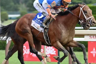 Report: Renegade Sidelined, Set to Return in 2027