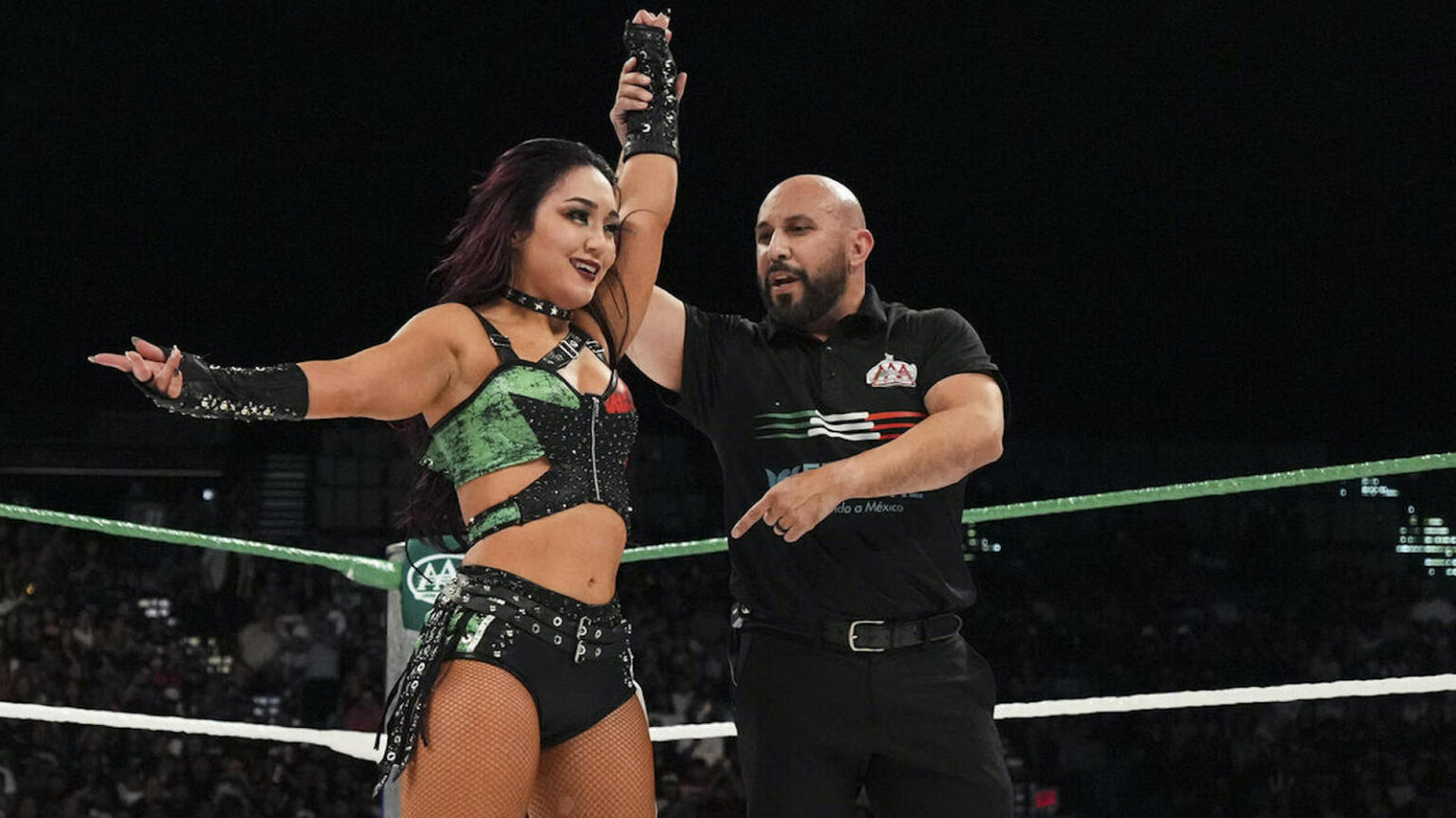 Roxanne Perez Pins IYO SKY, Qualifies for Women's MITB Ladder Match on WWE Raw