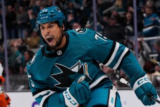 Ryan Reaves announces retirement, leaves NHL with three visor-less players