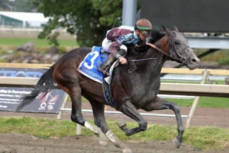 San Siro Wins Greenwood Cup in Long-Distance Race