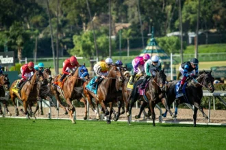 Santa Anita Simulcast Show to Cover Autumn Meet