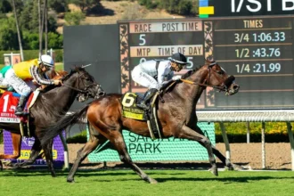 Sorrento Sky Maintains Momentum in Santa Anita's Eddie D Stakes