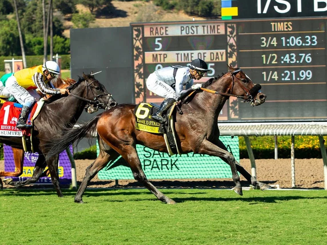 Sorrento Sky Maintains Momentum in Santa Anita's Eddie D Stakes