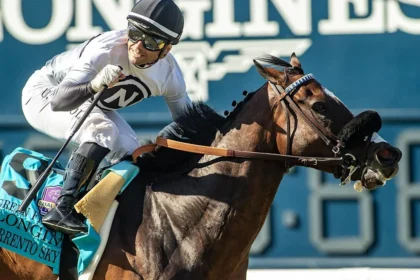 Sorrento Sky and Undefeated Little Opal Featured in Graded Turf Sprints at Santa Anita