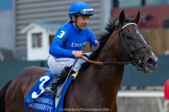 Sovereignty Resumes Jogging at Belmont
