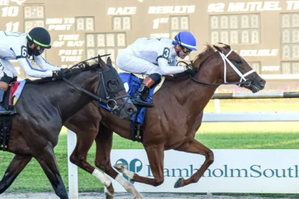 Stakes Winner John Hancock Makes Gulfstream Park Debut for New Connections