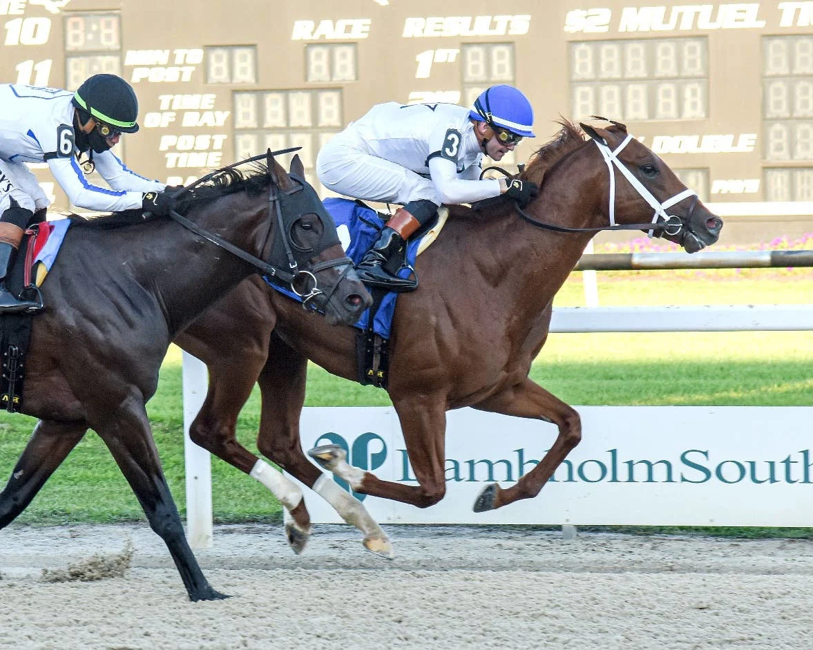 Stakes Winner John Hancock Makes Gulfstream Park Debut for New Connections