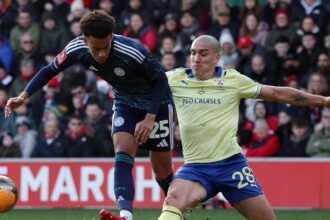Sunderland storm into the race to sign "really fantastic" Newcastle target