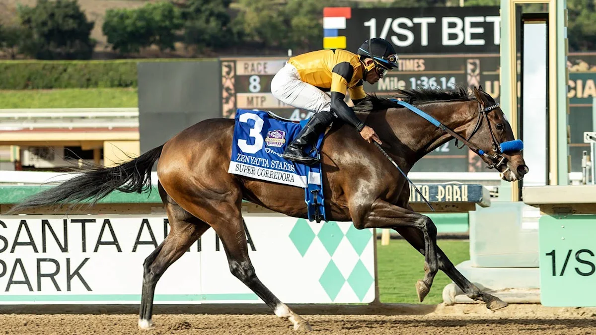 Super Corredora Returns With Front-End Win in Zenyatta, Praised as Unbelievable