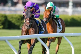 Tawny Port Withdraws from Melbourne Cup Contest