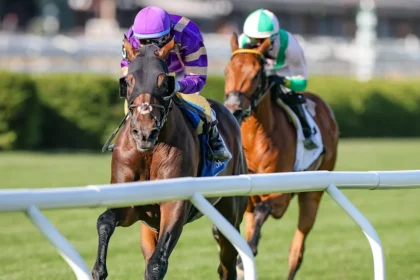 Tawny Port Withdraws from Melbourne Cup Contest