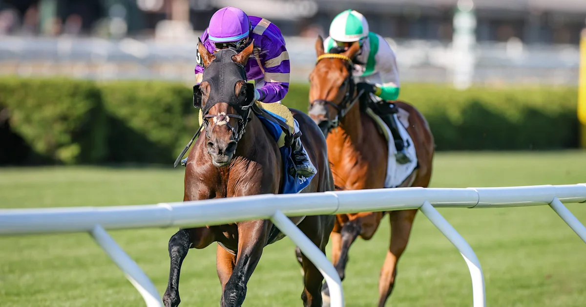 Tawny Port Withdraws from Melbourne Cup Contest