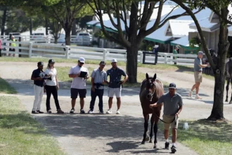 Total Sales Increase 23.35% on Day 8 at Keeneland September Sale