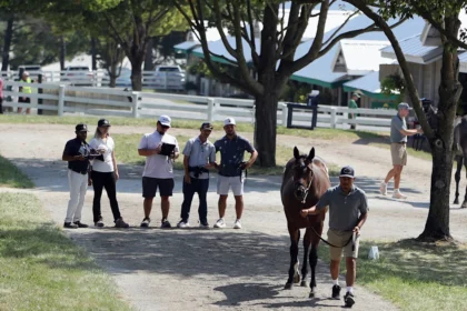 Total Sales Increase 23.35% on Day 8 at Keeneland September Sale