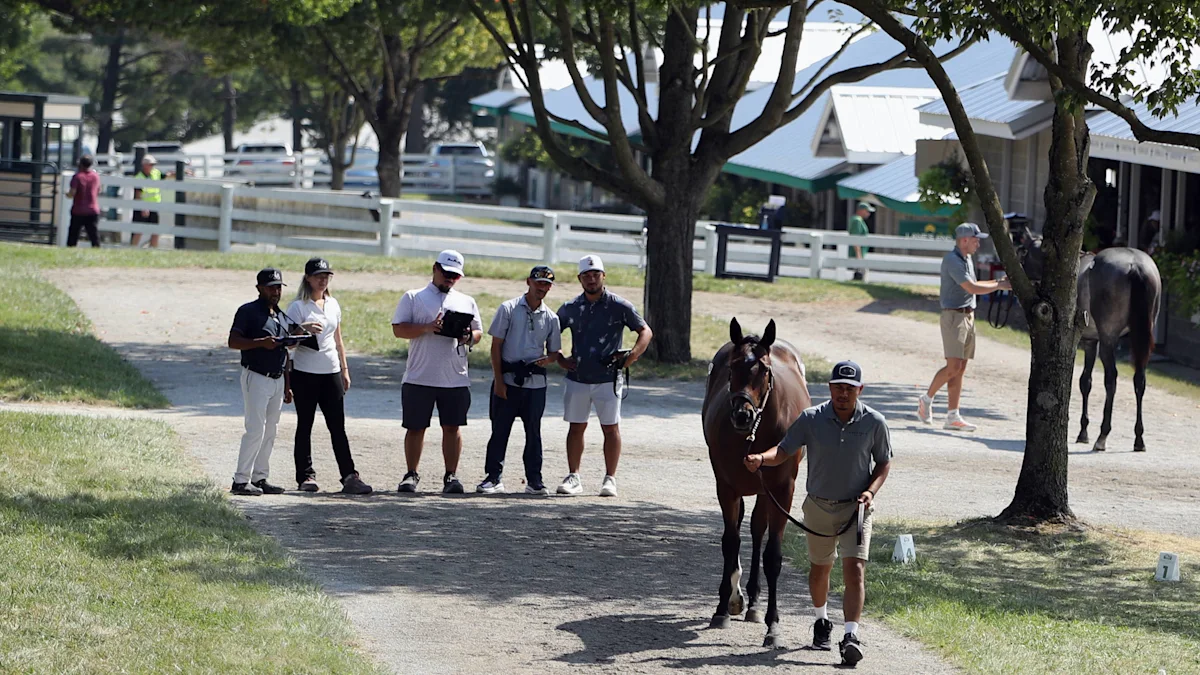 Total Sales Increase 23.35% on Day 8 at Keeneland September Sale