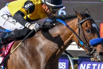 Trainer Sees 'Mental Freshness' in Champion Super Corredora