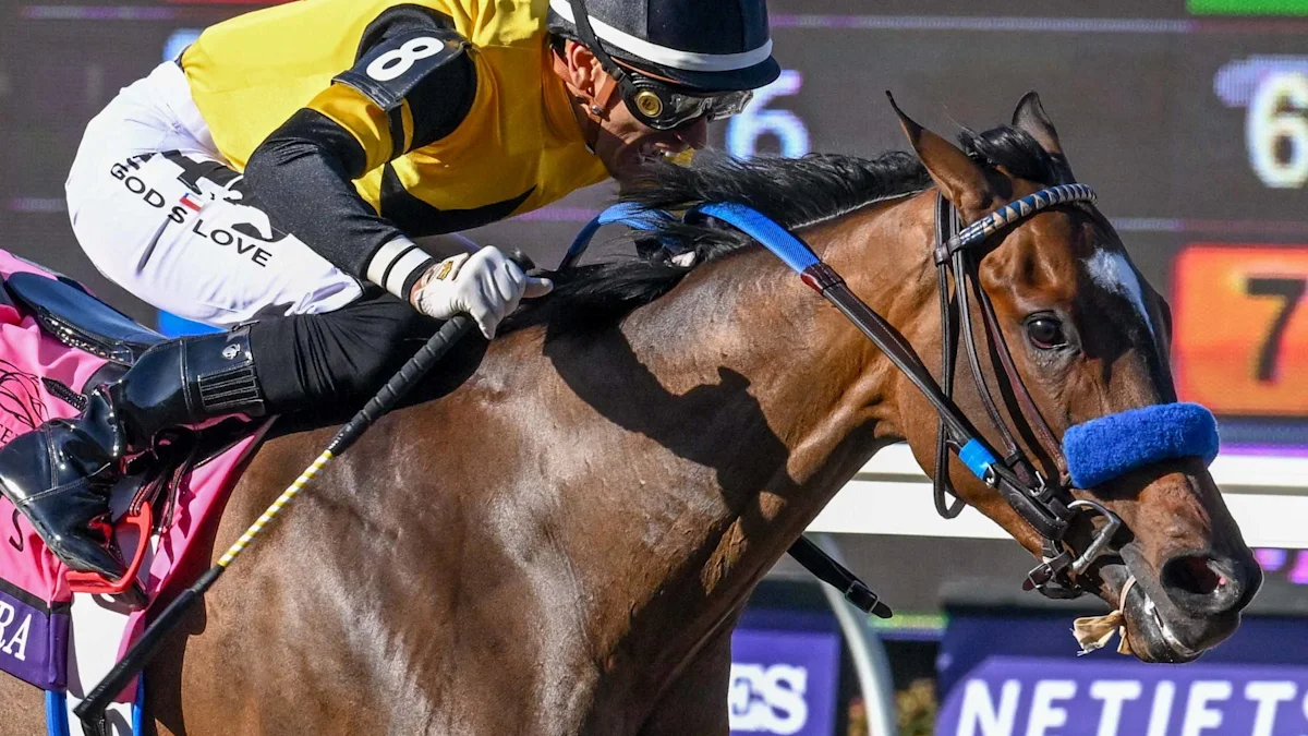 Trainer Sees 'Mental Freshness' in Champion Super Corredora