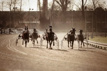 Trainer Suspended After Horse's Leg Falls Through Trailer Floor in Disturbing Incident