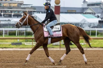 Trainer Todd Pletcher Hoping Zany Returns to Winning Form in Cotillion