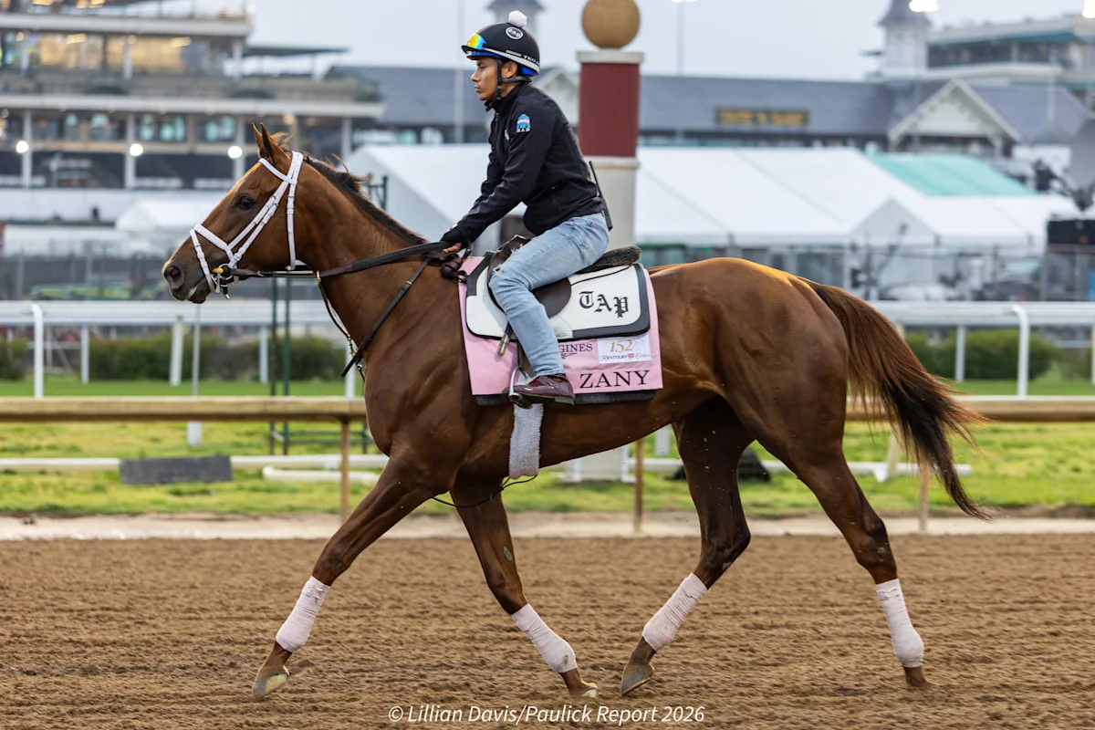 Trainer Todd Pletcher Hoping Zany Returns to Winning Form in Cotillion