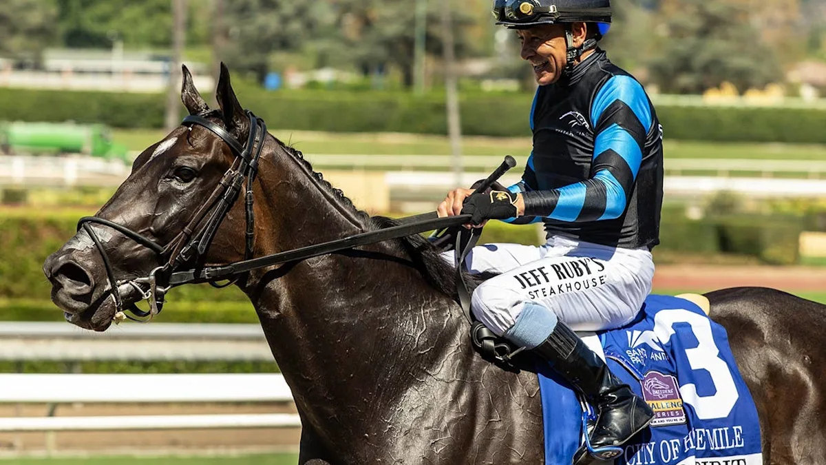 Trio Secure Breeders' Cup Credentials at Santa Anita