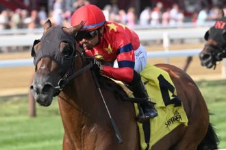 Twenty-six Black 'Right On Track' for Belmont Turf Sprint