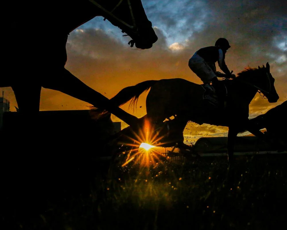 US Jockey Club orders racehorse Austrian Painter renamed over Hitler reference