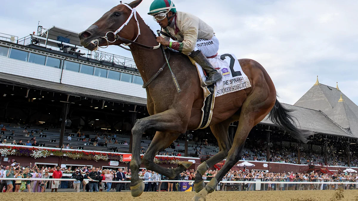 Undefeated Summer Starlet Headlines Alcibiades Stakes